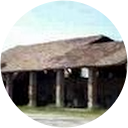 Michele G. profile picture